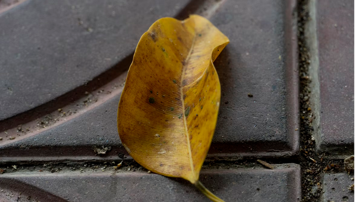 Foto de Bunly Hort en Unsplash.com