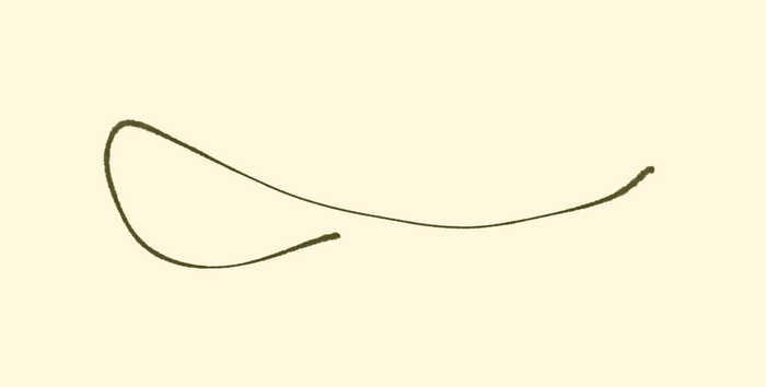 2.1.2 ¿Qué dice un trazo?